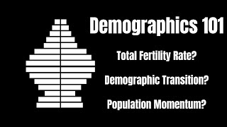 How to Know Your Way Around the Population Collapse [upl. by Nnayhs490]