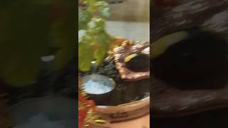 Jai tulsi maiya🙏ytshorts radherahde tulsishyam subscribemychannel bhajan like radhakriahna [upl. by Maril]