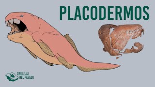 Placodermos [upl. by Nahtonoj]