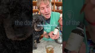 Dog with chronic ear infection Canesten not working 3 steps to treat infection at home [upl. by Ymmit]