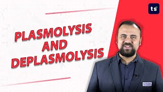 Concept of Plasmolysis and deplasmolysis in plant cell  types of plasmolysis  Biology [upl. by Otrebla]