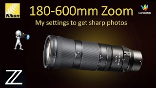 MY SETTINGS Nikon 180600mm to get sharp photos WILDLIFE PHOTOGRAPHY II Bird photography [upl. by Adgam556]