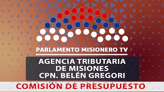 30092023 PRESUPUESTO Agencia Tributaria de Misiones  CPN Belén Gregori [upl. by Netta]