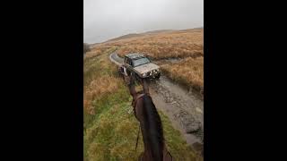 Meeting some offroaders on the green lanes horse lurcher offroading offroad [upl. by Morgen]