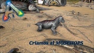 ARK Survival Evolved Actualizacion 252 Criando al MOSCHOPS [upl. by Puttergill]