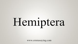 How To Say Hemiptera [upl. by Nydia737]