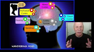 Education Brain Science 1 The Wandering Mind and The Game Mind [upl. by Aener239]