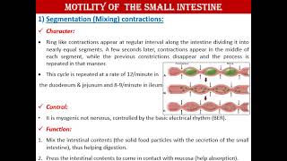 Intestinal motility and Defecation  Physiology 4  Gastrointestinal system [upl. by Eeram]