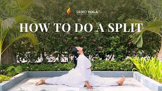 How to do a Split  SRMD Yoga [upl. by Adolphus]