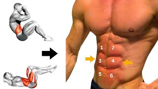 5 super effective abdominal exercises  abs workout [upl. by Gladstone]