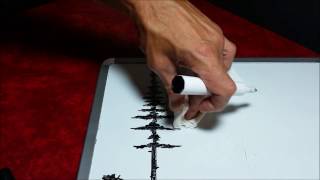 Dry Erase Whiteboard Art  How To Draw Pine Trees  Mr Ed Draws [upl. by Zebada169]