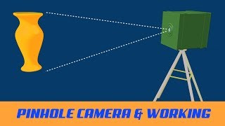 What is a Pinhole Camera and How does it work  Class 11  Studious 3d Animation [upl. by Brote]