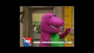 Barney Bailando Merengue  Guallando Fulanito [upl. by Alyos635]