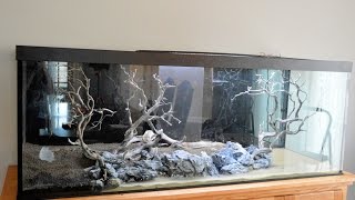 💫 New 210 Gallon  Discus Hardscape 4K [upl. by Service832]