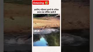 Real hero 💯youtube sortvideo sort trending viral animals animal reels [upl. by Selway]