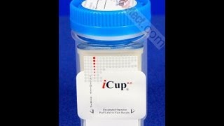 iCup Drug Screen Video Instructions Procedure [upl. by Olenolin]