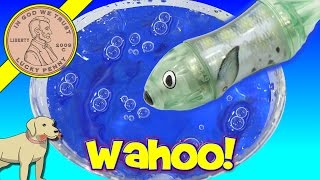 Wahoo HEXBUG Aqua Bot Fish Tank  Swim Little Fishy Swim [upl. by Alaikim635]