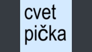 Cvet Pička Instrumental [upl. by Ecirtemed]