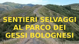 Sulla cresta dei colli al Parco dei Gessi Bolognesi  Itinerario Castel de Britti  Settefonti [upl. by Alemrac]