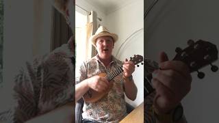 Detectorists Theme Johnny Flynn Cover I’m Waiting For You Soprano Ukulele [upl. by Rairb242]