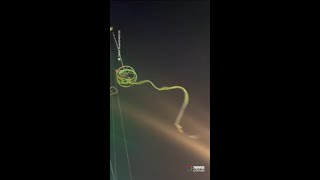 Horrifying moment “Slingshot” ride snaps with passengers inside [upl. by Ruyam420]