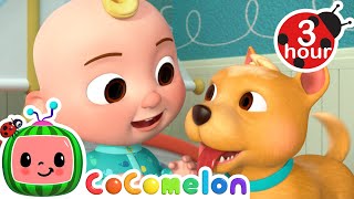 Wake Up The House Bingo 🐶 CoComelon Nursery Rhymes and Kids Songs  3 HOURS  After School Club [upl. by Edgell]