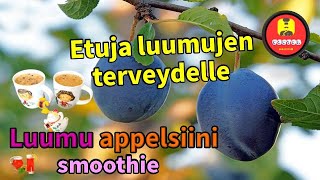 Luumu appelsiini smoothie Etuja luumujen terveydelle [upl. by Oinotna]