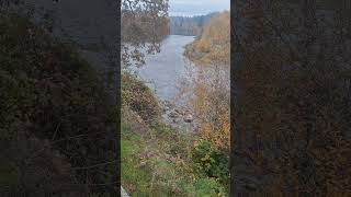 November 10th 2024 Clackamas river [upl. by Averat50]