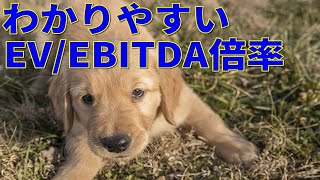 EVEBITDA倍率とは何か？わかりやすく解説 [upl. by Ayekat]