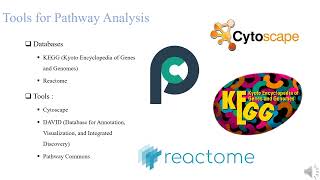 Bioinformatics Enrichment analysis بالعربى [upl. by Yenar762]