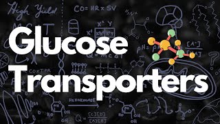 GLUT 14 Glucose Transporters  MCAT [upl. by Davon270]