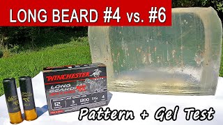 Winchester Long Beard XR 4 vs 6 Ballistics Gel Test amp Pattern  Copper Plated Lead Turkey Shells [upl. by Gonnella]