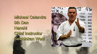 Seisan Kata amp Bunkai Michael Calandra 9th Dan Hanshi [upl. by Annaiuq932]