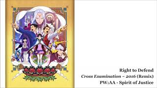 Right to Defend Cross Examination  2016 Remix  PWAA  Spirit of Justice [upl. by Bettina]