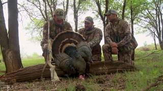 Crazy long shot on a turkey with a Carlsons Choke Tube [upl. by Jamil]