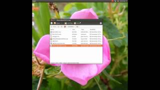 How to create and run the Hirens BootCD 152 in Ubuntu 1210 Linux [upl. by Regnig299]