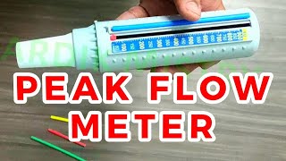 PEAK FLOW METER  CLINICAL LAB  PHYSIOLOGY [upl. by Feune448]