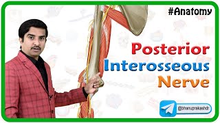 Posterior Interosseous Nerve Anatomy  Dr G Bhanu Prakash [upl. by Babs868]