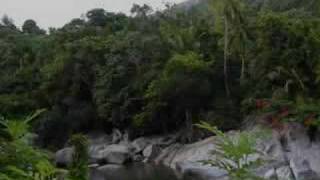 Taino Symbols of Puerto Rico Petroglyphs Simbolos [upl. by Trinity]