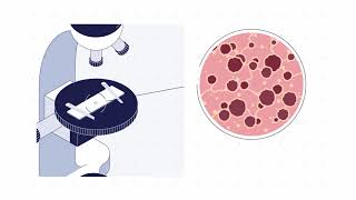 OrganonChip Studies Workflow 46 Analysis with PhysioMimix T1 from CN Bi [upl. by Shir]