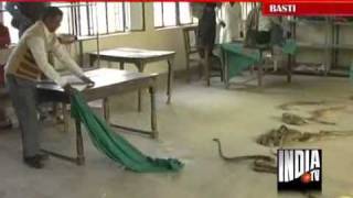 Snake Charmer Releases Snakes In UP Tehsil [upl. by Nytsirc538]