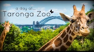 Taronga Zoo Sydney Australia [upl. by Salvadore]