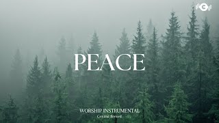 PEACE  Soaking worship instrumental  Prayer and Devotional [upl. by Enomal]