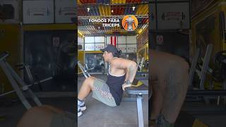 FONDOS para TRICEPS 🔥 triceps tricepsworkout gymtips gymgirl gymrat fitness gym [upl. by Erual]