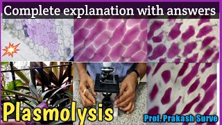 Plasmolysis  Complete explanation with answers  Std  12  Q1  4 marks  By Prof Prakash Surve [upl. by Eugatnom622]