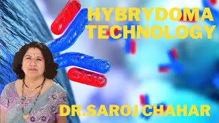 Hybridoma technology [upl. by Shep]