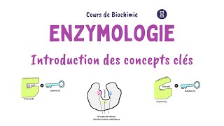 Introduction à lEnzymologie  Définitions et concepts clés [upl. by Iz202]