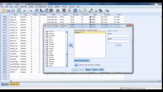 Simple Linear Regression with One Categorical Variable with Several Categories in SPSS [upl. by Harriott]