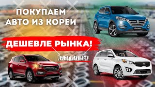 Как купить авто из Кореи ДЕШЕВЛЕ Аукционы Кореи [upl. by Kovar691]