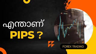 എന്താണ് Pips What is pips in Malayalam Forex Trading  Exness [upl. by Wie]